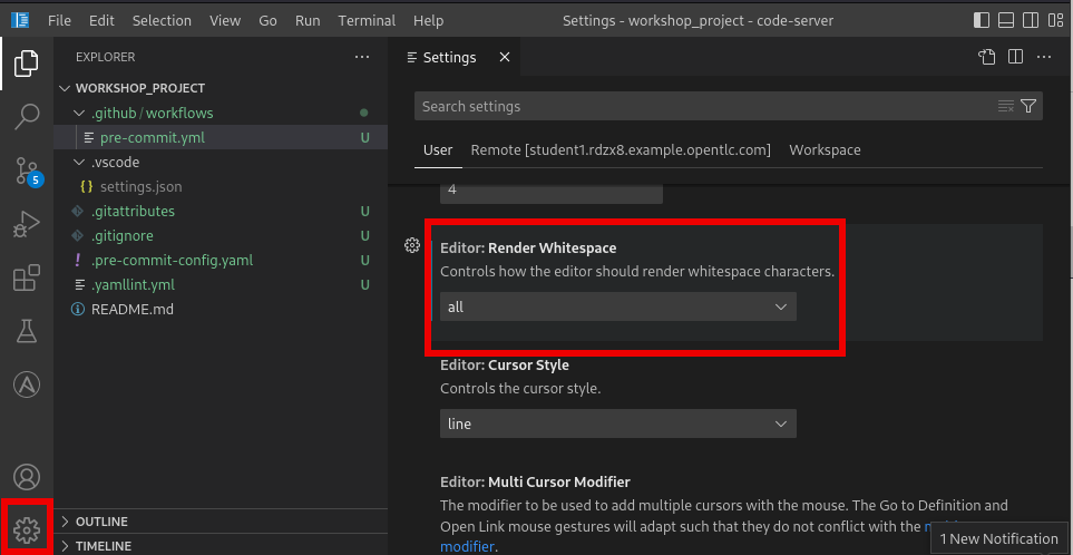 render whitespace setting