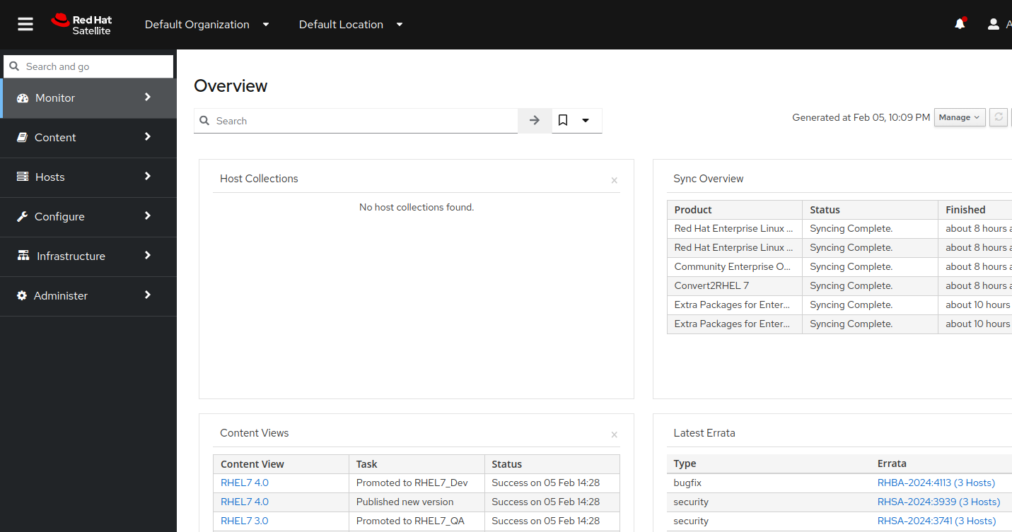 Example Satellite Web UI dashboard